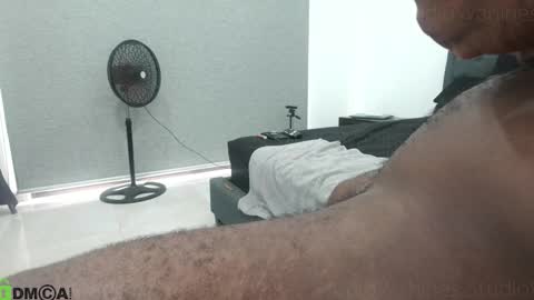 Snapshot of studiowahines chatting on 11.15.25 StudioWahines online show from 11.15.25