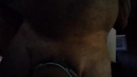 stuffamuffagus69 online show from 11.16.25