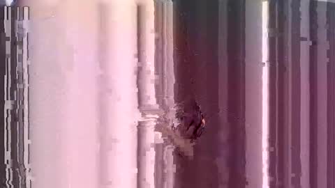 ControlMeViaTeamviewer online show from 12.03.24