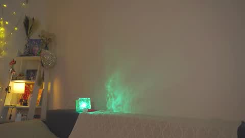 succubus_66 online show from 03.04.26