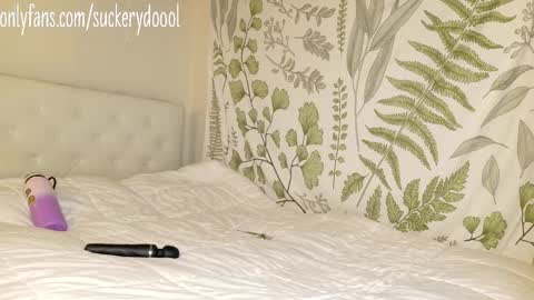 Maya online show from 02.01.26