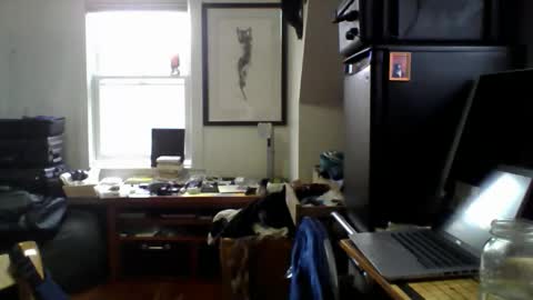 Sugar online show from 04.14.26