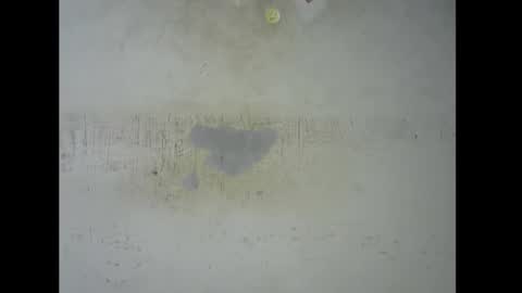 Bella online show from 11.09.25