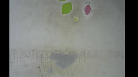 Bella online show from 11.11.25