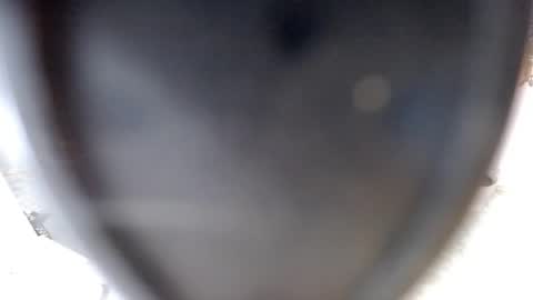 Snapshot of sugarplumy chatting on 07.10.26 KUROME online show from 07.10.26