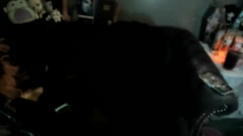 Sugary online show from 01.19.26