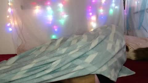 zuley online show from 03.04.26