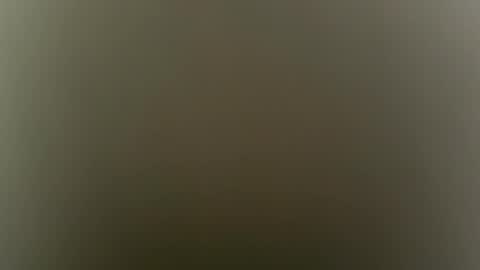 Snapshot of sulyrouse chatting on 02.04.26 suly online show from 02.04.26