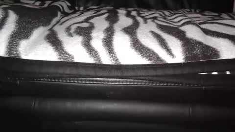 Snapshot of sundicksun chatting on 12.24.24 s online show from 12.24.24