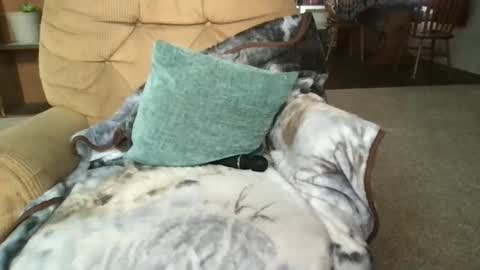 Sunny Clementine online show from 03.14.26