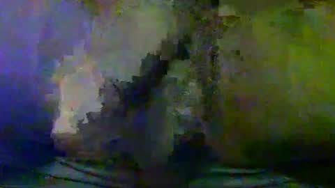Snapshot of sunnyjohn447 chatting on 09.25.25 Sunnyblack2 online show from 09.25.25