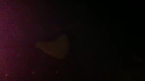 Sunnyblack2 online show from 03.09.26