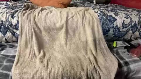 Stony online show from 03.03.25