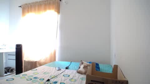 Susana online show from 02.09.25