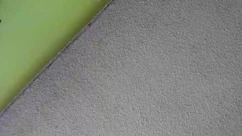 Snapshot of sussan_nasty chatting on 12.16.25 sussan_nasty online show from 12.16.25