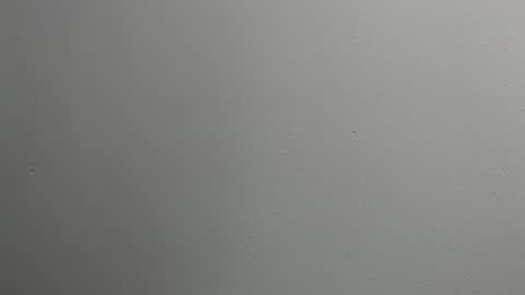 sussy leon online show from 01.28.25