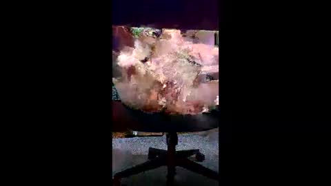 svald0 online show from 06.05.26