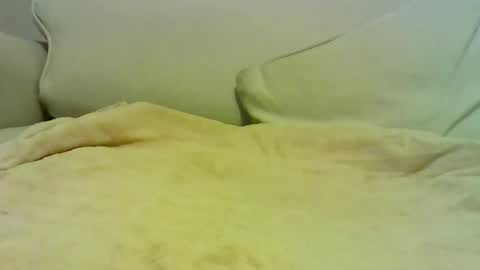 Snapshot of sven_eber chatting on 01.10.26 Peter online show from 01.10.26