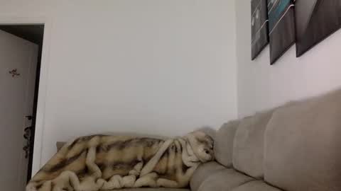 ALBA online show from 11.14.25