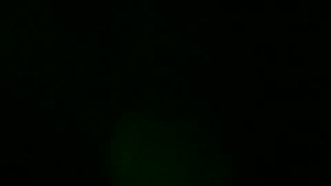 sweeetiiefox online show from 02.24.26