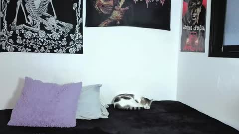 Snapshot of sweet__natashaa chatting on 04.06.26 Natasha independent modelo online show from 04.06.26