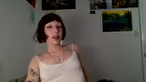 sweet_harvey online show from 04.01.26