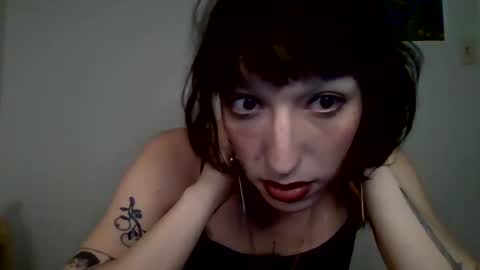 sweet_harvey online show from 04.10.26