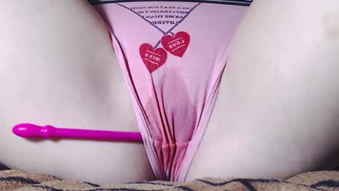 Kitten online show from 12.13.24