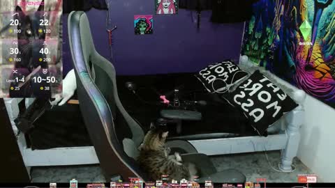 elizabeth grey online show from 09.20.25