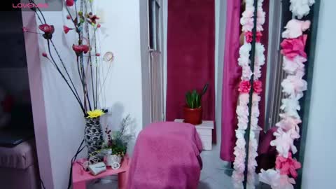 sweef online show from 01.17.25