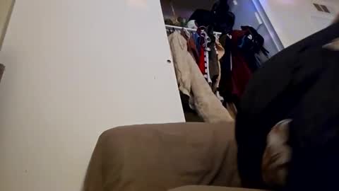 Snapshot of sweetp3ach29 chatting on 12.16.24 sweetp3ach29 online show from 12.16.24