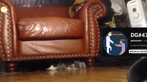 Snapshot of swolebbc chatting on 12.01.25 The DickGod online show from 12.01.25