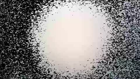 Snapshot of syd666 chatting on 03.28.26 subfordomme online show from 03.28.26