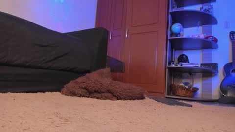 Snapshot of syd_onnfire chatting on 12.18.24 Syd online show from 12.18.24