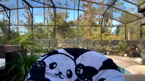 Snapshot of syndica chatting on 02.01.25 Jennah online show from 02.01.25