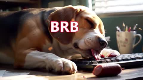 Snapshot of szymon2502 chatting on 03.10.26 Simon online show from 03.10.26