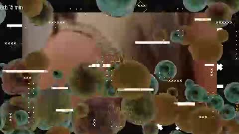 TAANNI online show from 06.22.26