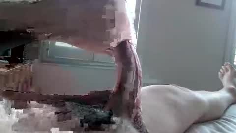 Snapshot of tactful1 chatting on 04.03.26 Tactful1 online show from 04.03.26