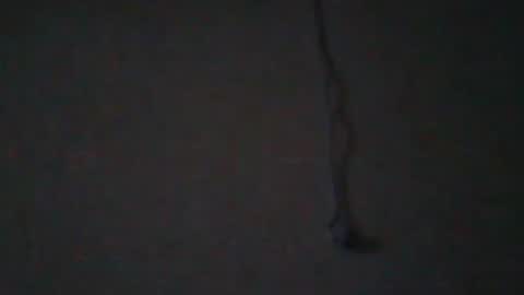 Snapshot of tahtouhafakroune12 chatting on 04.04.26 tahtouhafakroune12 online show from 04.04.26