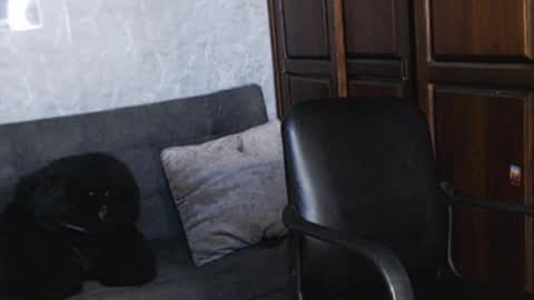 Tairon Tucke online show from 12.18.24