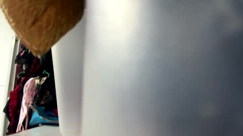 tali  online show from 10.25.25