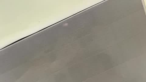 Snapshot of talianavega chatting on 11.01.25 tali online show from 11.01.25