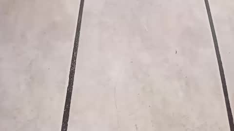 Snapshot of tall6feet7inch chatting on 09.24.25 tall6feet7inch online show from 09.24.25