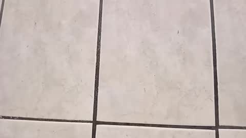 Snapshot of tall6feet7inch chatting on 09.28.25 tall6feet7inch online show from 09.28.25