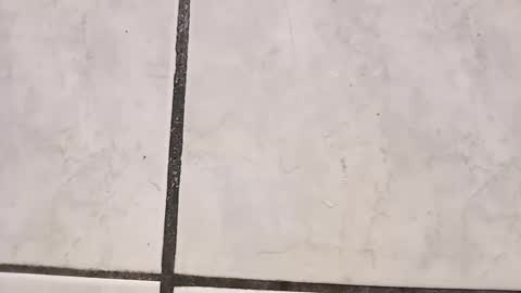 Snapshot of tall6feet7inch chatting on 09.29.25 tall6feet7inch online show from 09.29.25