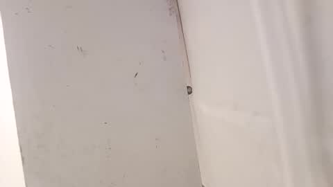 Snapshot of tall6feet7inch chatting on 12.18.25 tall6feet7inch online show from 12.18.25