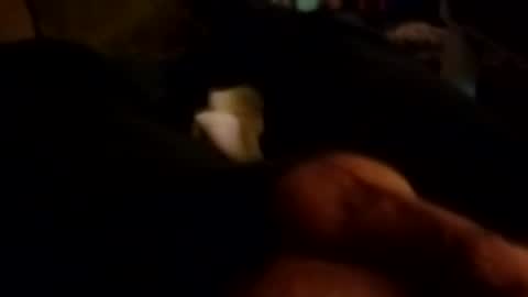 Snapshot of talldrink62 chatting on 10.26.25 The Man of Steel online show from 10.26.25