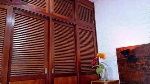    online show from 11.24.25