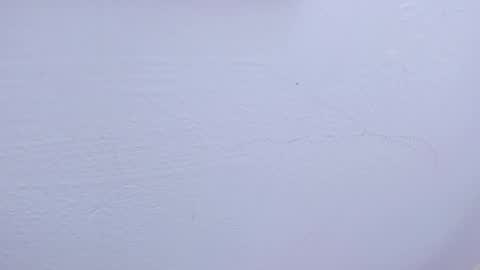 Tamara online show from 02.09.25