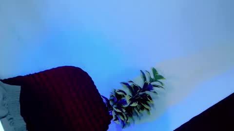 tamera_cummer0969 online show from 11.20.25